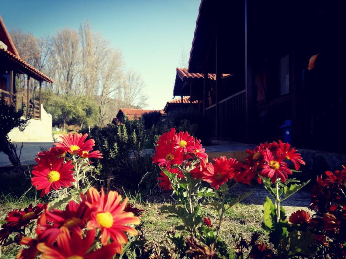 El Venero De Mostoles 콘스탄티나 외부 사진